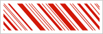 Security Packing Tape