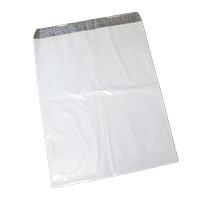Cash Security Bag