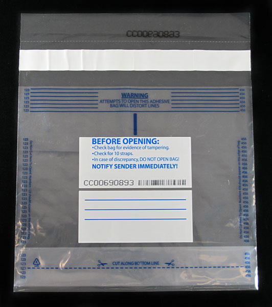 Cash Security Bag, Clear