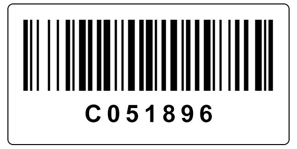 Silver Metallic Security Label