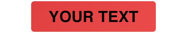 Tamper Evident Security Label