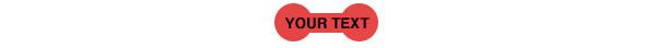 Tamper Evident Security Label