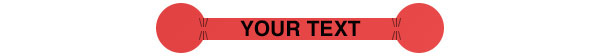 Tamper Evident Security Label