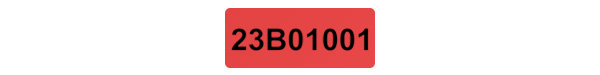 Silver Metallic Security Label