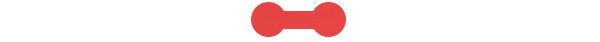 Silver Metallic Security Label