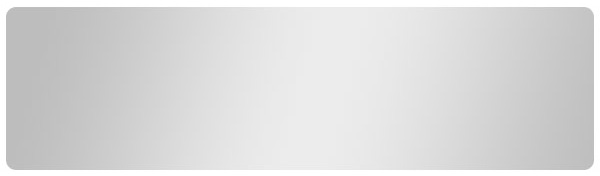 Silver Metallic Security Label