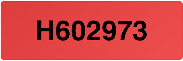 Tamper Evident Security Label