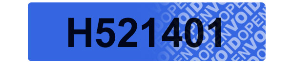 Tamper Evident Security Label