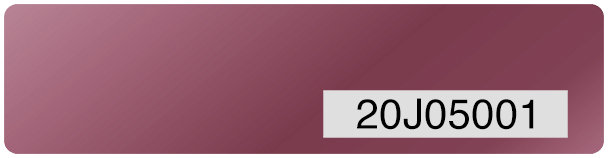 Tamper Evident Security Label